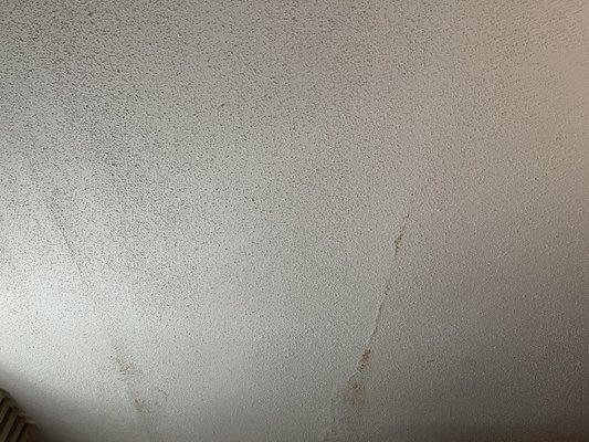 Water Stains on the ceiling