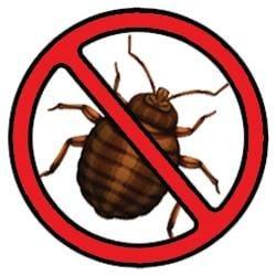 Heat Treatment- Kills Bed Bugs and Eggs