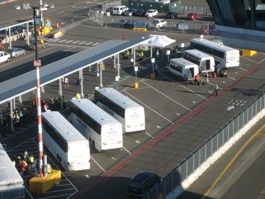 Seattle Pier 91 shuttle pick-up location. Seattle Express is in row R.  The terminal is to the left.