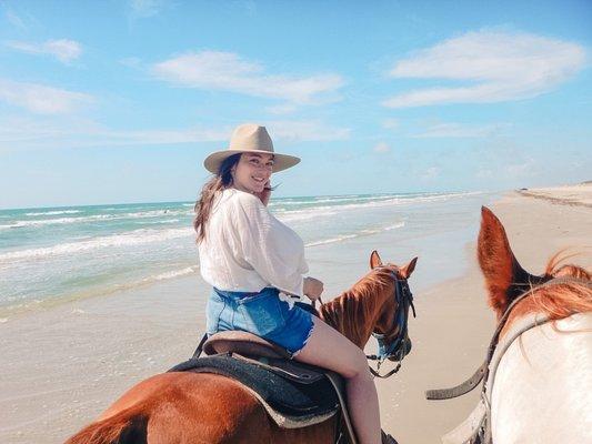 Horse on the beach