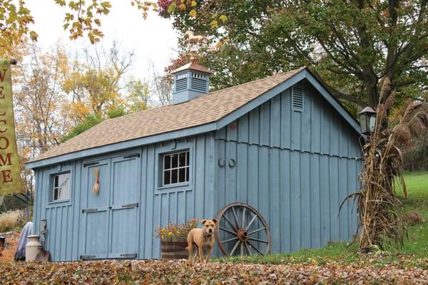 12'x20' Board & Batten Garden Shed