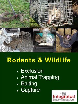 Rodents & other wildlife can cause serious damage. Baiting, trapping, & exclusions are options.