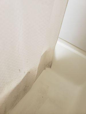 Black mold- dirty tub