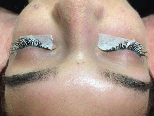 Lash Extensions - Natural Set