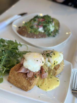 Eggs Benedict and Avocado Toast