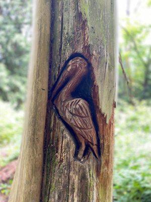 Random Tree carvings hidden through the property