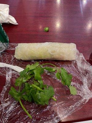 Spring roll