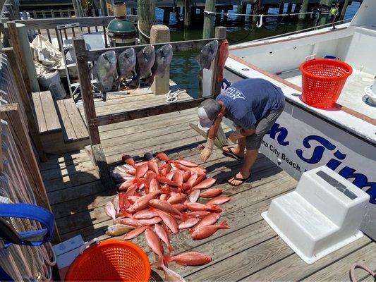 Our group's catch today