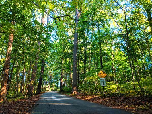 Harford Park -- driveway