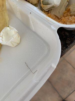 The package fibers or hair found in the chicken tamales.