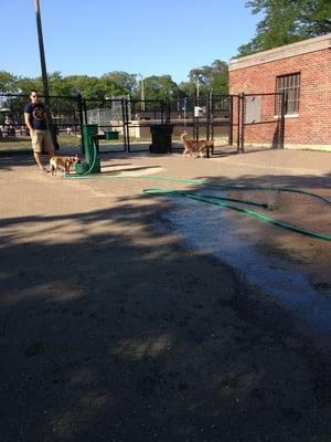 Sprinkler and doggie size bubbler!