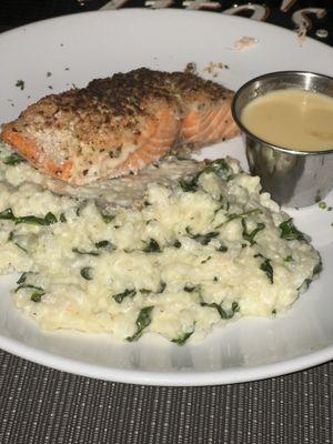 Salmon /  risotto