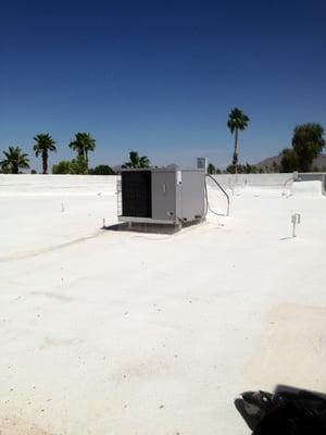 Pigeons nest under commercial a/c units.