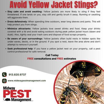 Avoid Yellow Jacket wasp stings