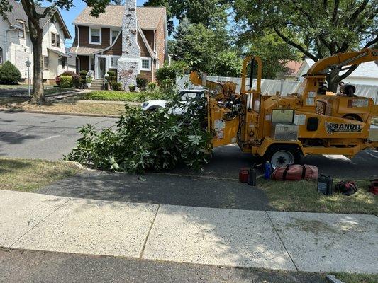 Len's Tree Service