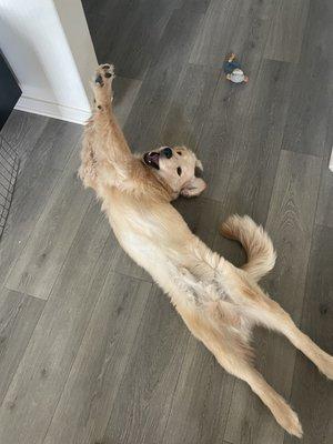 Buddy stretching