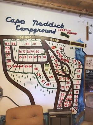 Map of campsites on office wall