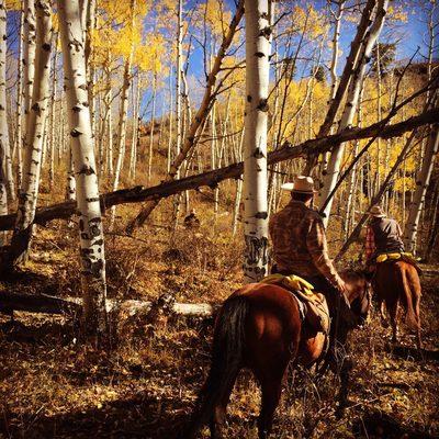 Beautiful views with horseback rides from May until mid November