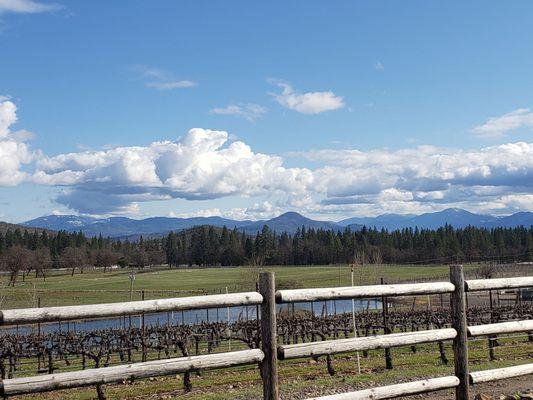 Beautiful view from the tasting area