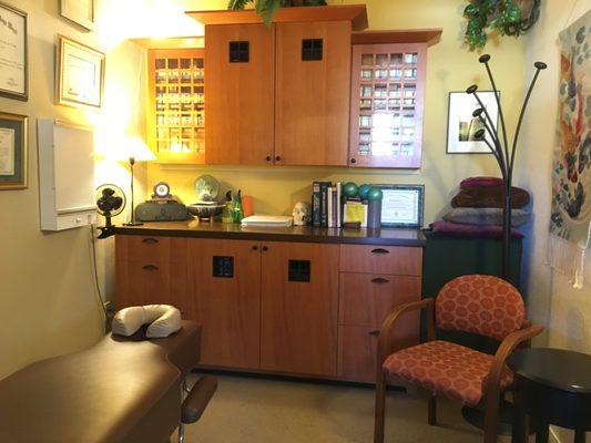 Dr. Skefich's primary therapy room