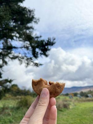 Cider doughnut with parking lot views