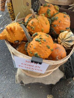 Goblin pumpkins