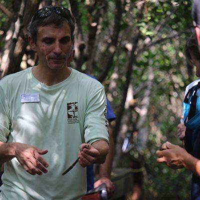 Talking mangroves during a Mangrove Tour