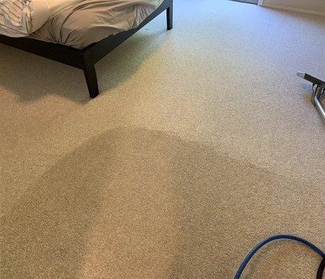 Carpet cleaning services - During cleaning