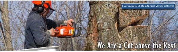 Brian's Tree Service