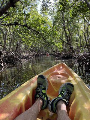 Paddling through the canopied mangroves