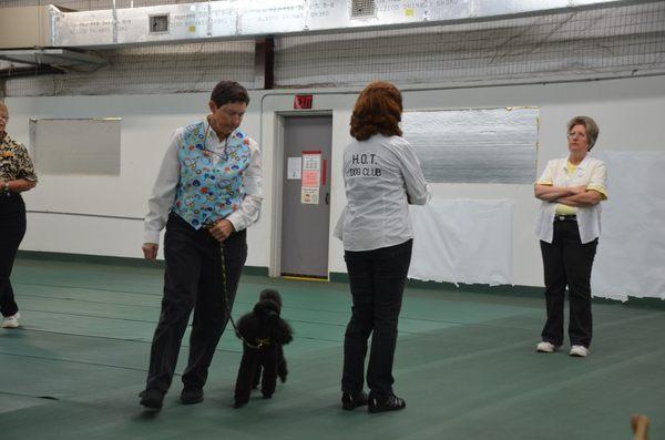 Houston Obedience Training Dog Club