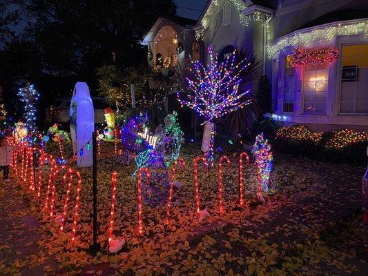 Christmas Tree Lane in Alameda