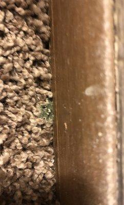 MOLD LITERALLY IN THE CARPET.