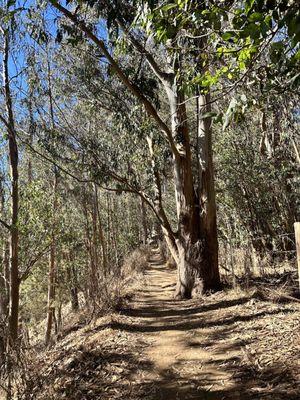 Hiking Trails at San Simeon Bay