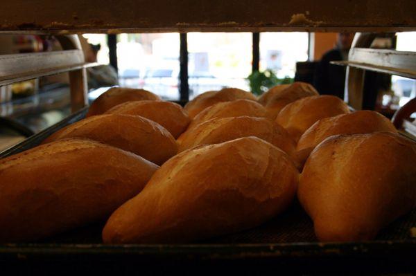 French bread (bolillo) baked fresh daily!