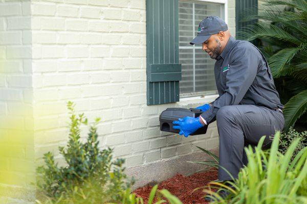 Western Exterminator technicians are highly proficient at identifying rodent infestations in homes or businesses.  