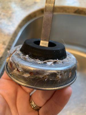 Sink plug