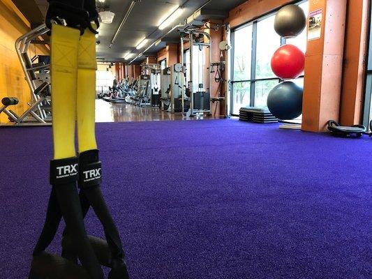 TRX and Function Training Space