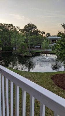 View of the pond