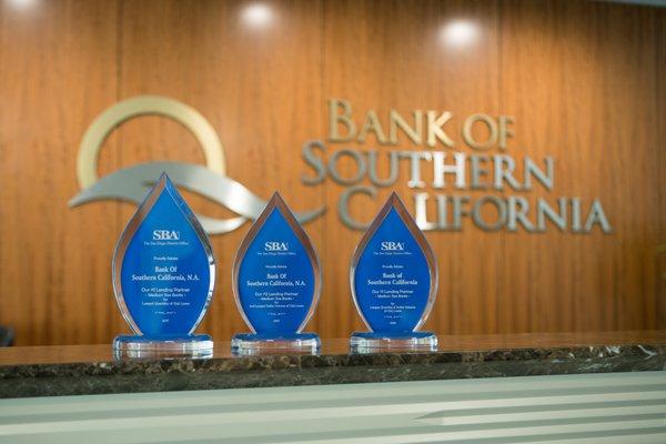 Recognized SBA Lender year over year