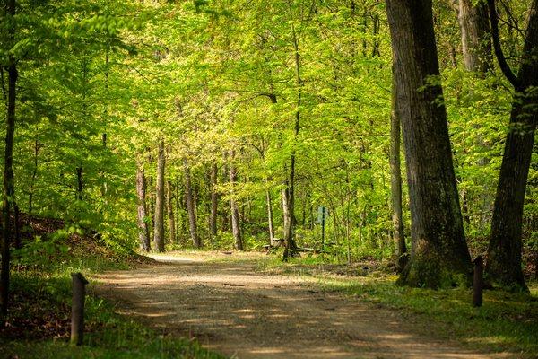 Dune Lake Campground