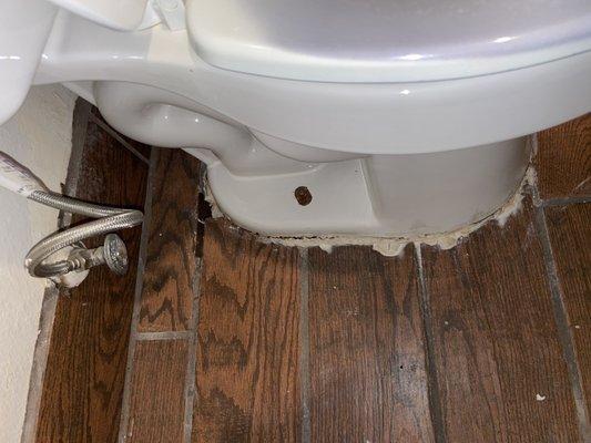 Leaking toilet