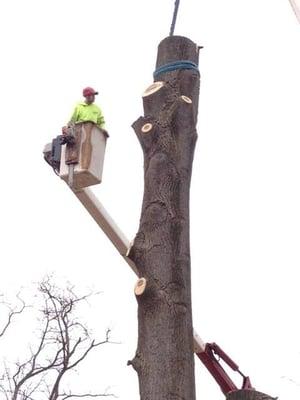 Flynn's Tree Service