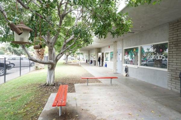 Front of school, facing some classrooms