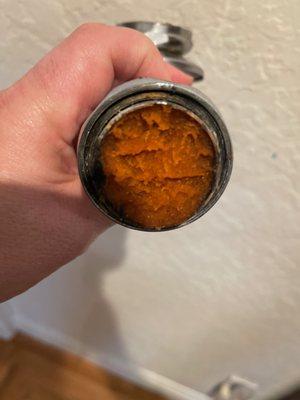 Metamucil in the pipe...Yuck!