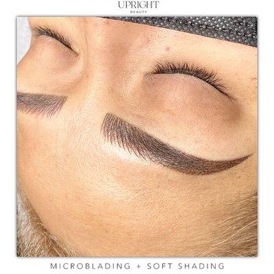 Microblading + Soft Shading