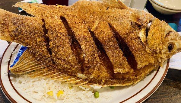 Mojarra Frita - bigger than the plate!! So crispy & yummy