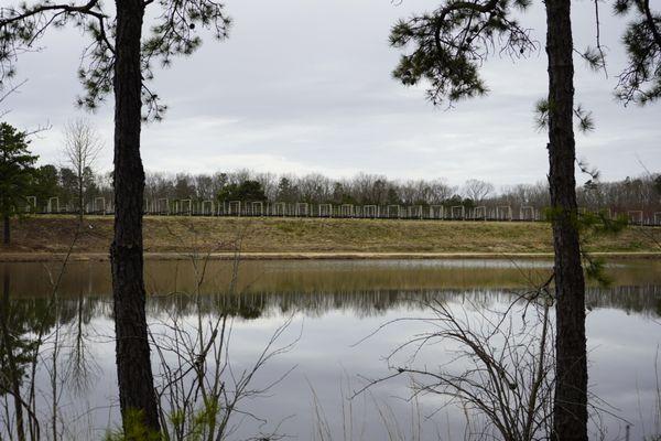 Vineyard in the distance