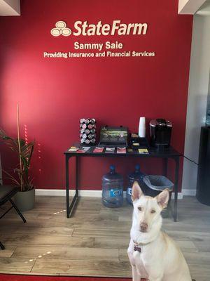 Sammy Saie - State Farm Insurance Agent