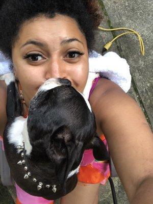 Boston Terrier really feeling my new lashes (I'm wearing no other makeup)